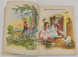 Buch 