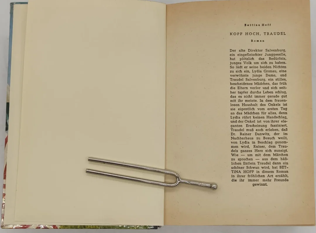 Buch "Kopf hoch Traudel" von Bettina Hoff – Bild 4