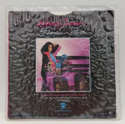 Single Langspielplatte - Donna Summer - the wanderer - Bild 2